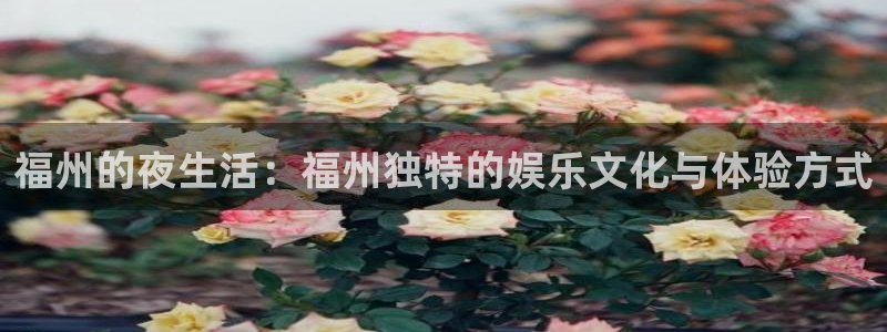 优游国际官网