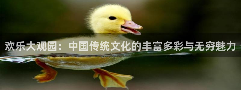 优游国际官网首页