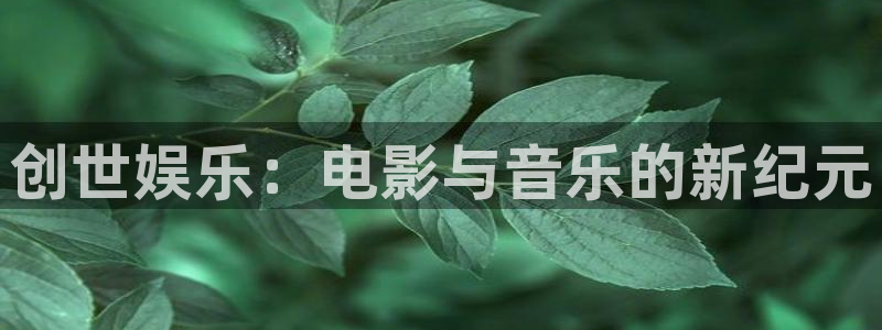 优游国际官网